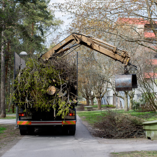 ekologiczny wywóz odpadów zielonych Łódź