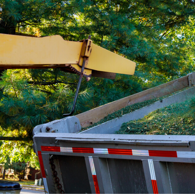 wywóz gałęzi Łódź